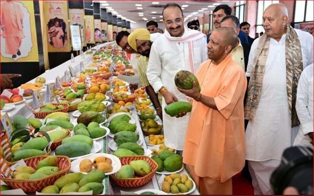 800 से अधिक किस्मों की प्रदर्शनी, यूपी के आम बने वैश्विक पहचान: योगी आदित्यनाथ