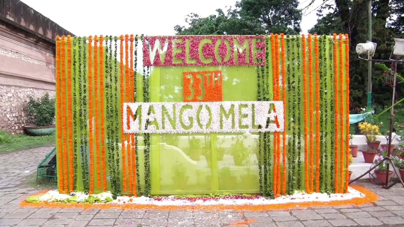 यादविंद्रा गार्डन में 33वां आम मेला शुरू, पांच राज्यों के किसानों ने सजाई आमों की अनोखी दुनिया