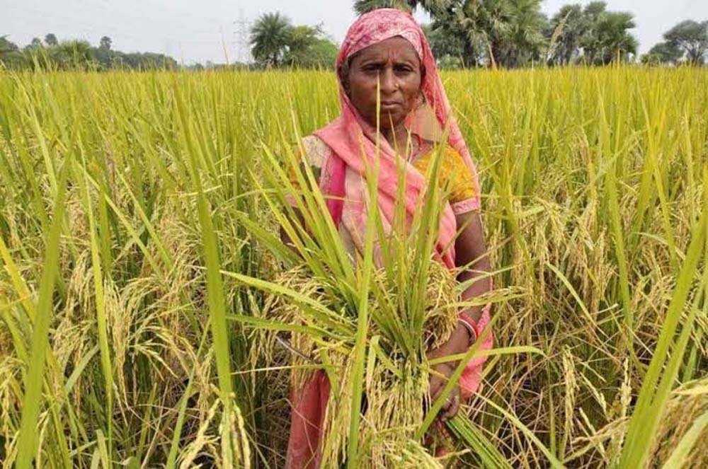खेती में महिलाओं की भागीदारी बढ़ी, ग्रामीण अर्थव्यवस्था को मिली नई रफ्तार