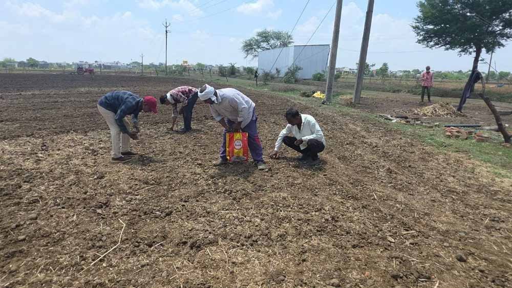 CG Weather: बस्तर में कमजोर मानसून ने बढ़ाई किसानों की मुश्किलें, सूखे की आशंका गहराई