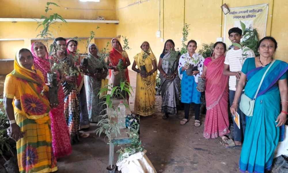 छत्तीसगढ़ में हरियाली का महाअभियान, 2.45 लाख महिलाएं एक साथ लगाएंगी पौधे