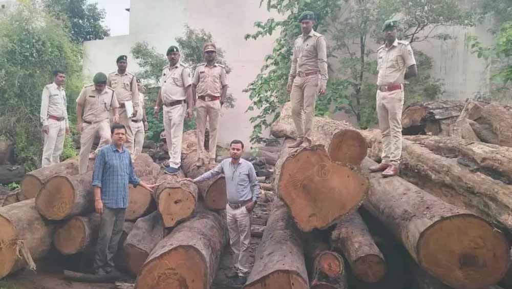 साल के 206 पेड़ों की अवैध कटाई पर बड़ा एक्शन, कोरबा में आरोपी गिरफ्तार, आरा मिल पर ताला