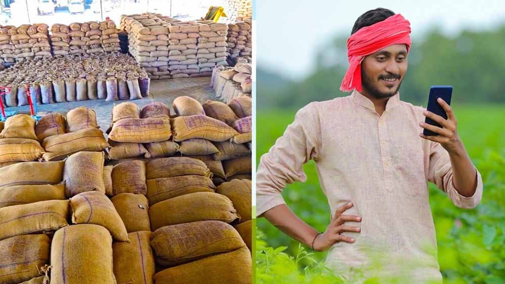 किसानों के लिए जरूरी सूचना: MSP और खाद सुविधा हेतु 'मेरी फसल-मेरा ब्योरा' में 31 जुलाई तक रजिस्