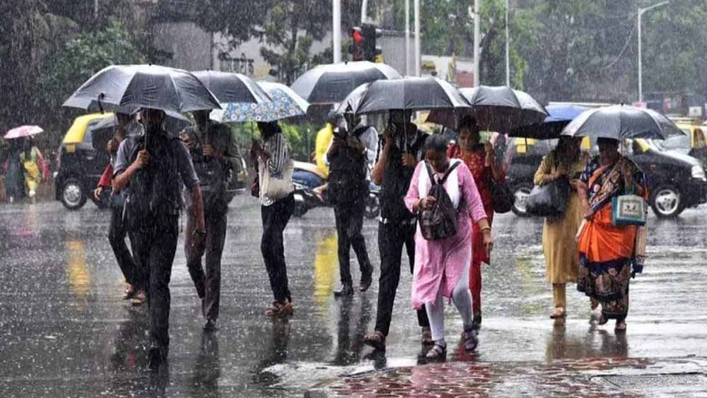 हरियाणा के कई जिलों में होगी तेज बारिश