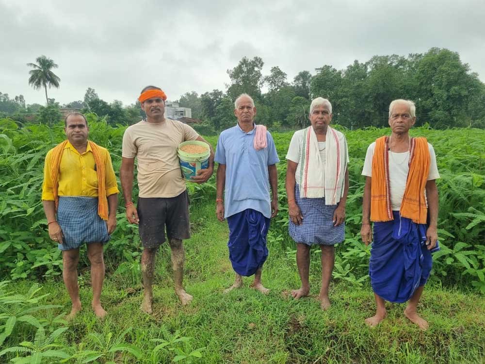 10 एकड़ में सामूहिक खेती कर किसान बदल रहे समृद्धि की तस्वीर, 175 से 180 रुपये किलो बिक रहा जवांफ