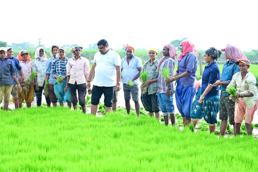 स्वयं ट्रैक्टर चलाकर धान रोपाई की तैयारियों का किया शुभारंभ