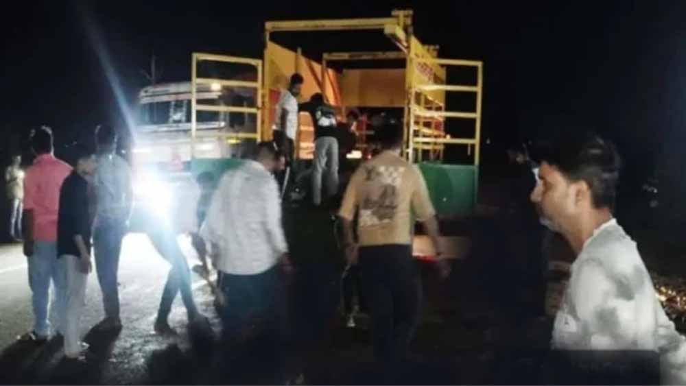 मध्य प्रदेश के राजगढ़ में तेज रफ्तार ट्रक का कहर, 17 मवेशियों की मौत; पुलिस ने घेराबंदी कर दबोच