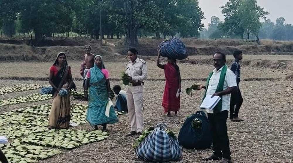 धरमजयगढ़ जिला यूनियन के 46 हजार 840 संग्राहकों को मिलेंगे 17.43 करोड़ रुपये बोनस राशि
