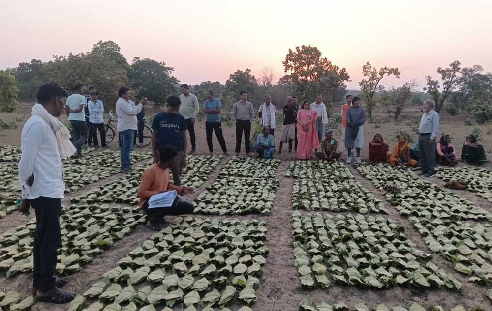 डिजिटल एवं पारदर्शी व्यवस्था से सीधे खातों में अंतरित हुई प्रोत्साहन पारिश्रमिक राशि, वनवासी पर