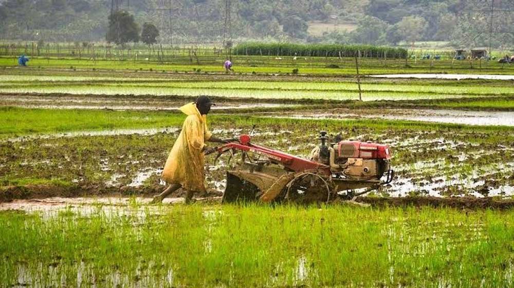 रिकॉर्ड खाद-बीज और ऋण वितरण से मिली नई रफ्तार