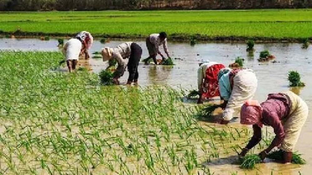 कृषि मंत्री का बड़ा निर्देश, जल संरक्षण योजनाओं में देरी पर अधिकारियों की तय होगी जिम्मेदारी