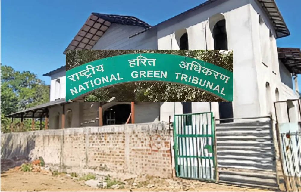 NGT का बड़ा एक्शन! भोज वेटलैंड में अतिक्रमण नहीं होगा बर्दाश्त, अधिकारियों की तय हुई जवाबदेही