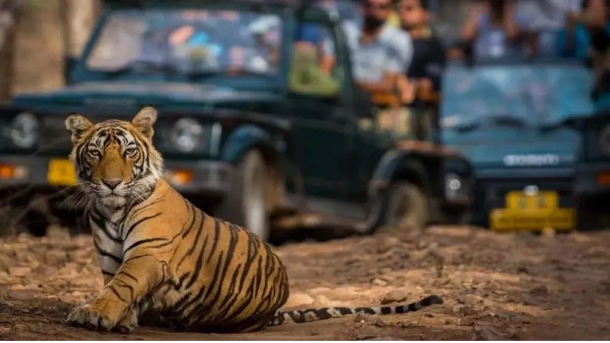 योगी सरकार का वन्यजीवों पर बड़ा फोकस, संरक्षण योजनाओं को मिलेगी नई रफ्तार