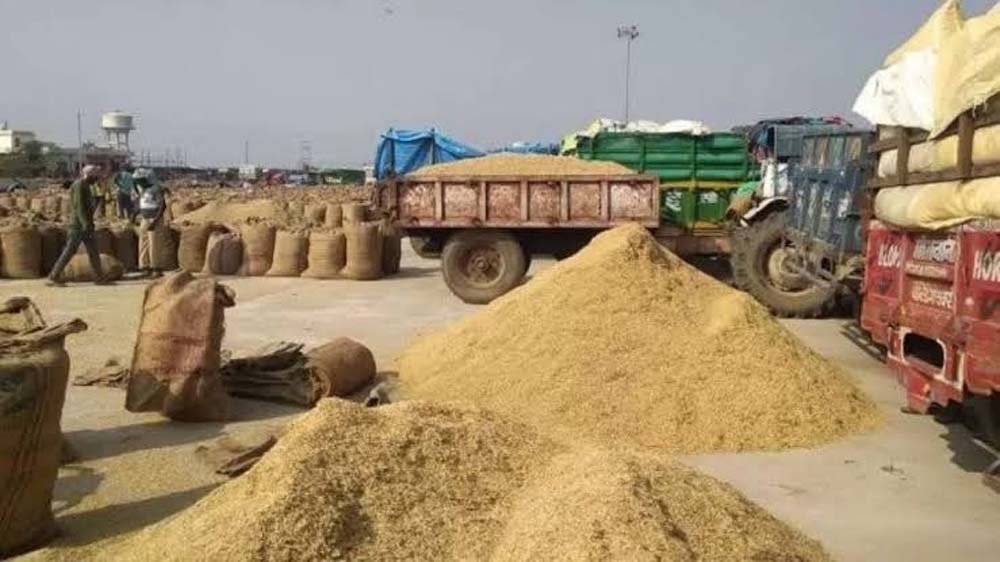 रिकॉर्ड धान उत्पादन बीच हरियाणा राइस मिलर्स को मिलेगा बोनस, समस्याएं सुलझेंगी