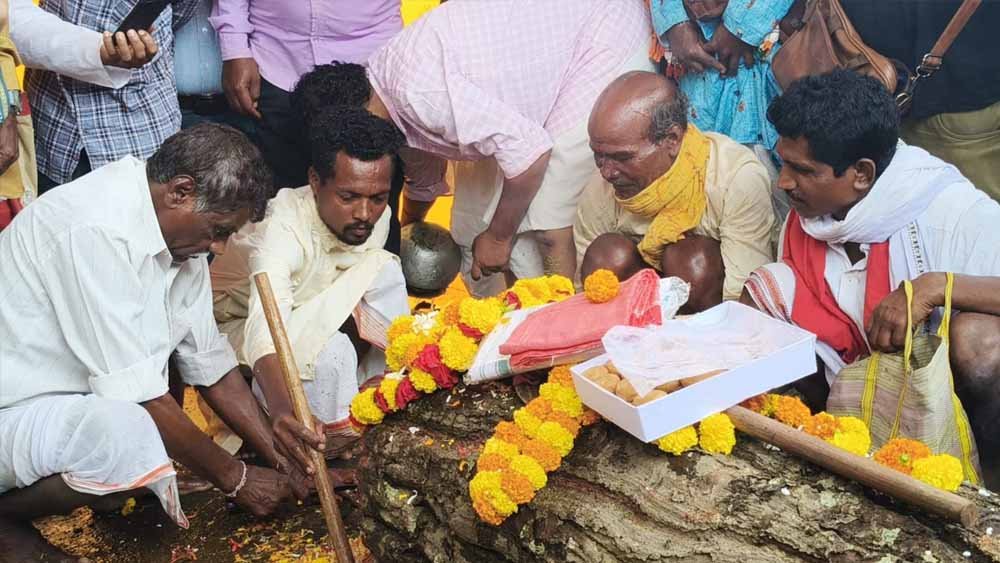 बस्तर दशहरा की पहली रस्म पाट जात्रा हुई संपन्न, पूरे विधि-विधान से हुई पूजा
