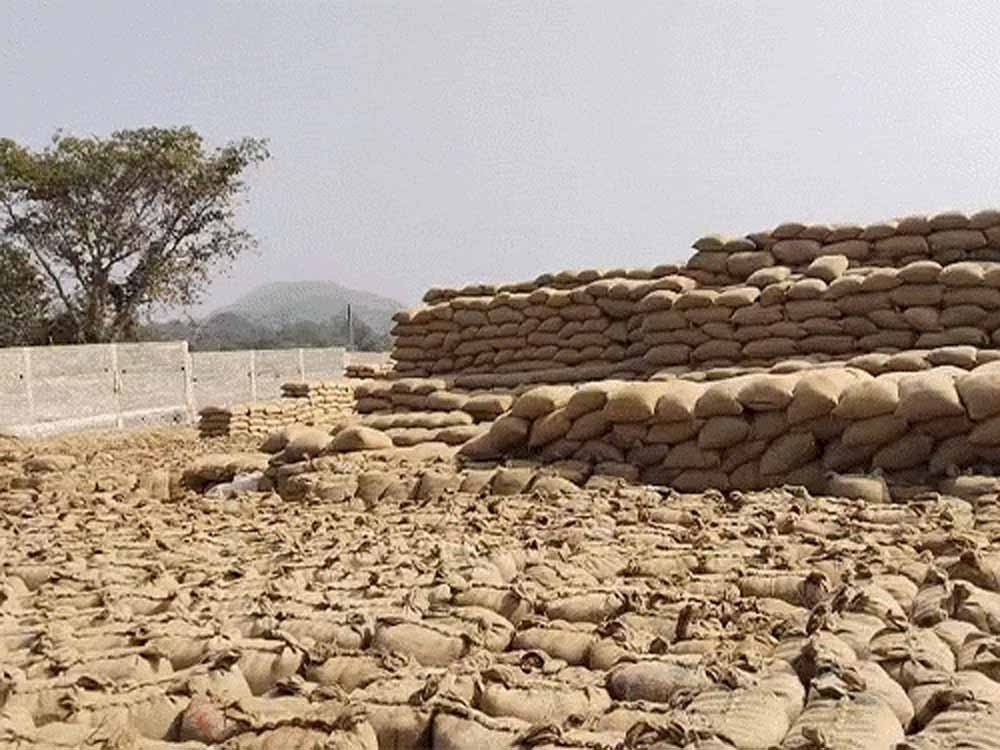 CG के धान खरीदी केंद्र में बड़ा घोटाला, ₹1.31 करोड़ की गड़बड़ी में दो गिरफ्तार