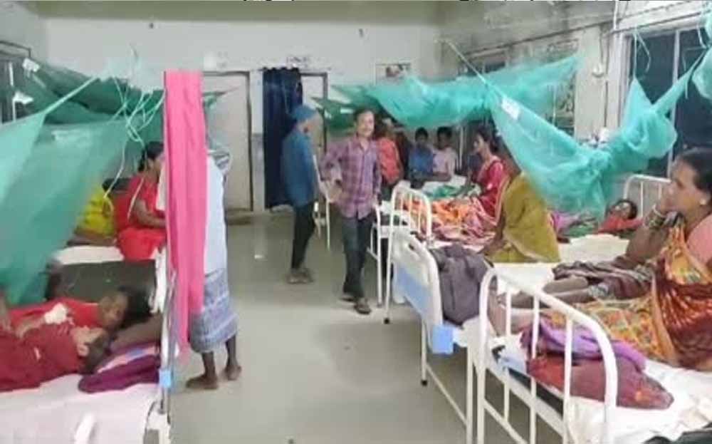 CG Malaria Alert: बिलासपुर में मलेरिया ने ली एक की जान, 2 नए केस सामने आए