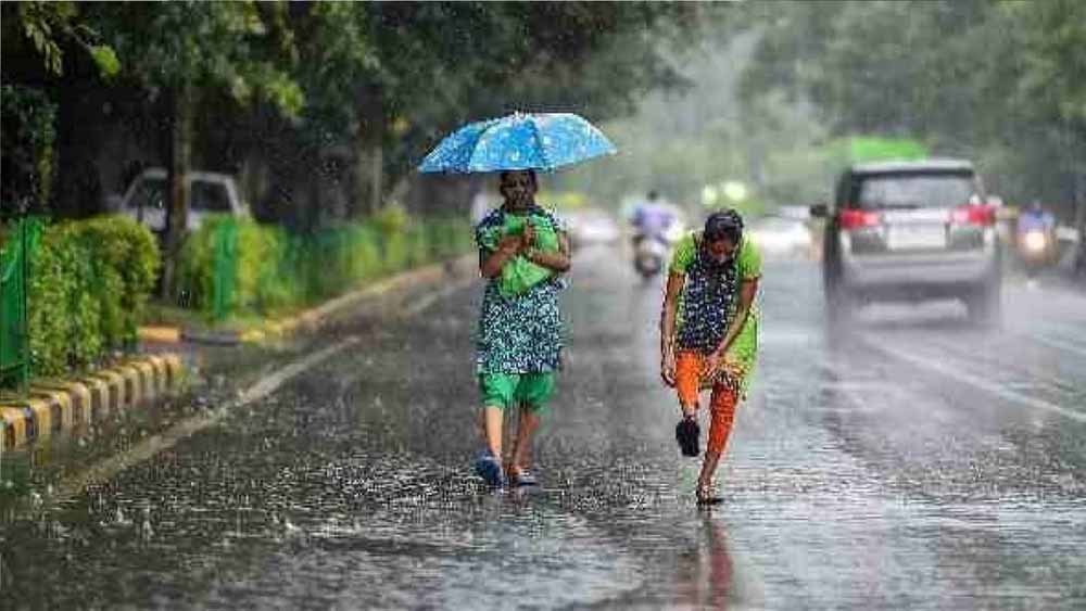 छत्तीसगढ़ में फिर एक्टिव होगा मानसून, अगले 48 घंटे भारी बारिश के आसार, कई क्षेत्रों में अलर्ट