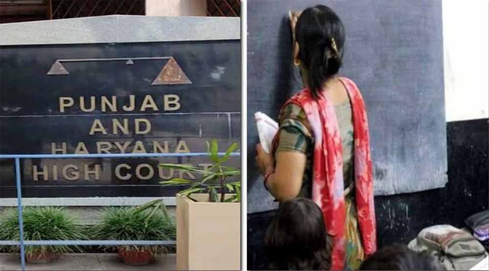 Punjab-Haryana HC का राहतभरा आदेश, 1999 JBT भर्ती मामले में शिक्षकों की नौकरी सुरक्षित