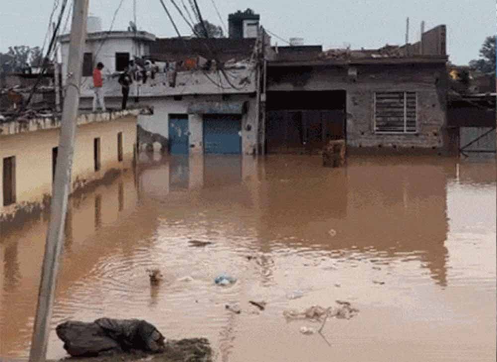 Haryana Weather: मूसलाधार बारिश से तबाही, मकान गिरे, नदी का तटबंध टूटा, बाढ़ का अलर्ट