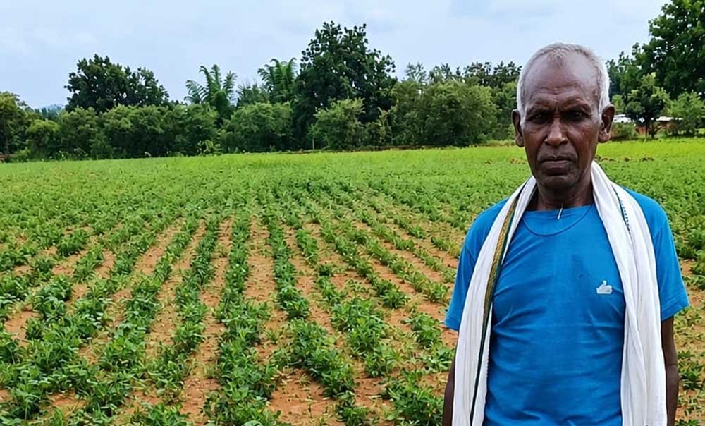 NMEO योजना से किसान बेसाहू राम की खेती को मिली नई दिशा