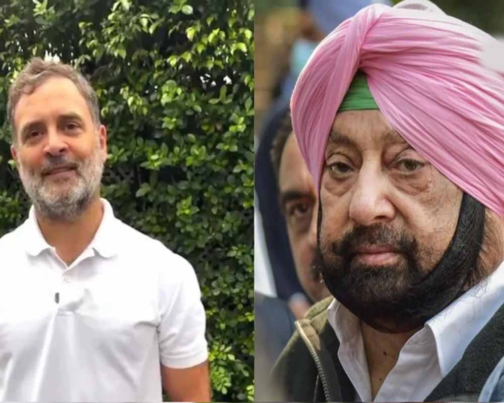 ‘हेलो अंकल अमरिंदर’ बोलकर राहुल ने बढ़ाई चर्चा, क्या कांग्रेस में लौटेंगे कैप्टन?