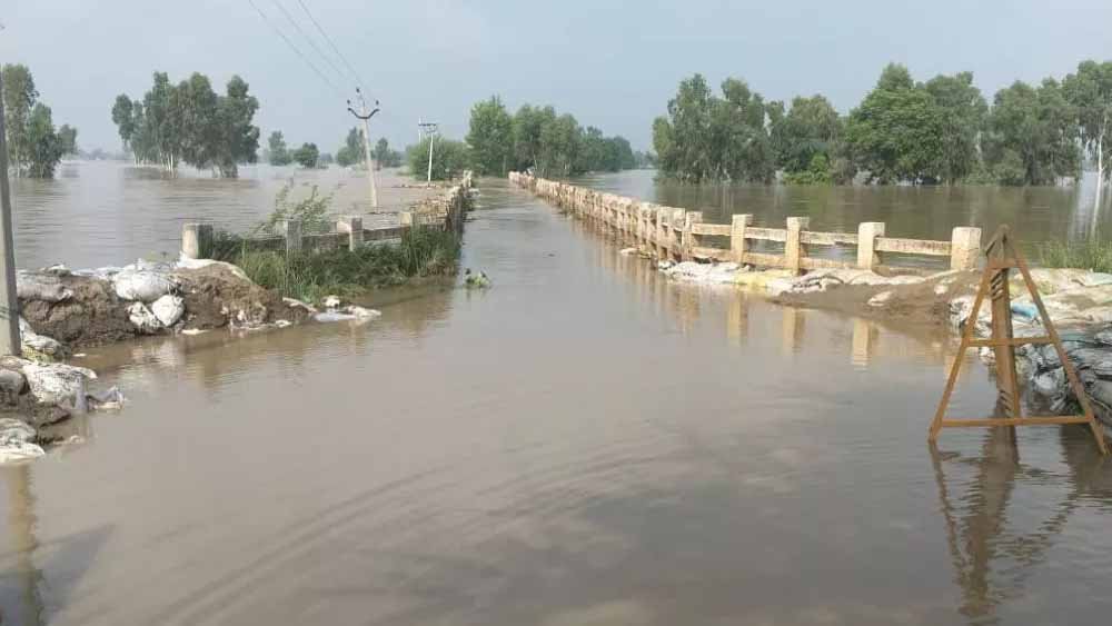 Punjab News: सतलुज पुल पर भारी वाहनों के प्रवेश पर रोक, 10 दिनों में मरम्मत की उठी मांग