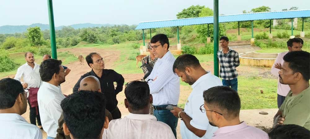 फेसिंग कार्य तत्काल प्रारंभ करने दिए निर्देश