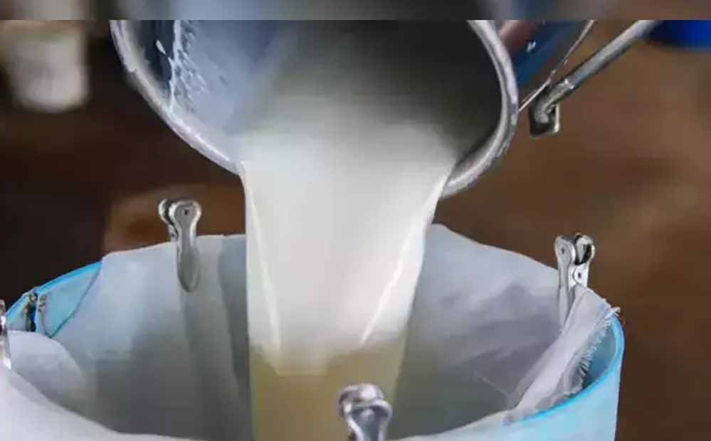 दूध उत्पादन में उत्तर प्रदेश बना देश का नंबर-1, 38.8 मिलियन मीट्रिक टन के साथ कायम किया नया रिक