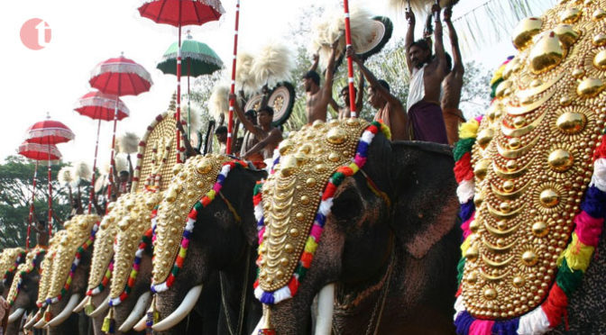 Kerala govt. bats for ban on elephant parading: K Raju