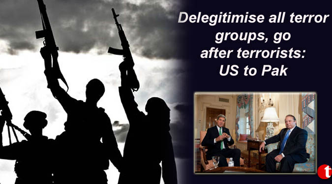 Delegitimise all terror groups, go after terrorists: US to Pak