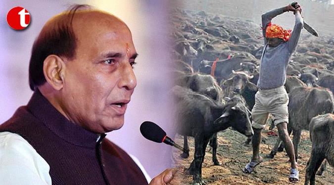Cow slaughter banned since Vedic, Mughal times: Rajnath Singh