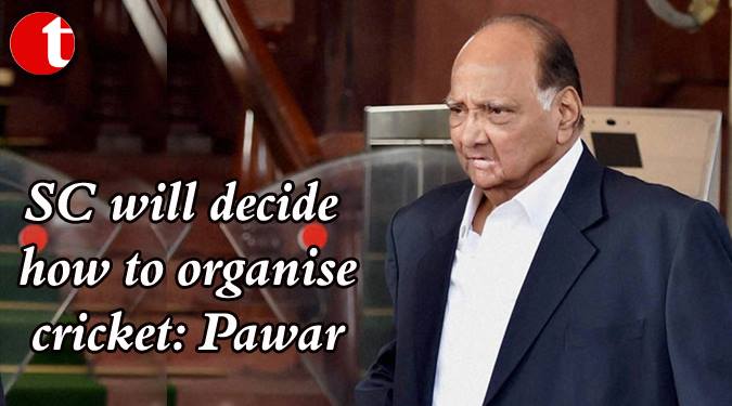 SC will decide how to organise cricket: Pawar