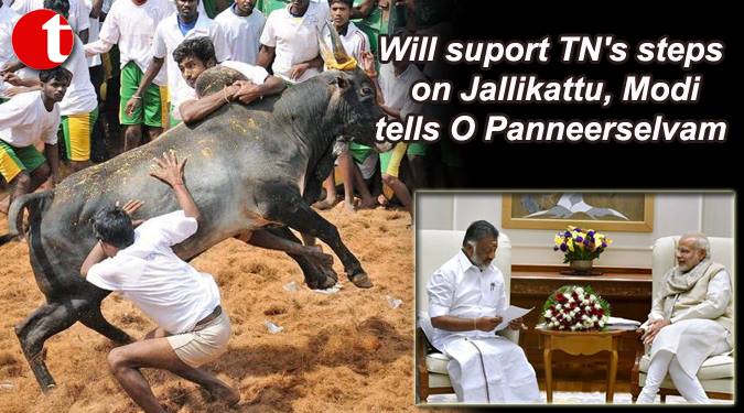 Will support TN’s steps on Jallikattu, Modi tells O Panneerselvam