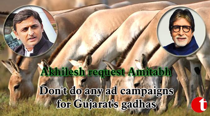 Don't do any ad campaigns for Gujarat's gadhas: Akhilesh request to Amitabh