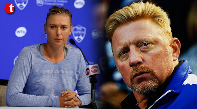 Becker believes Sharapova deserves second chance