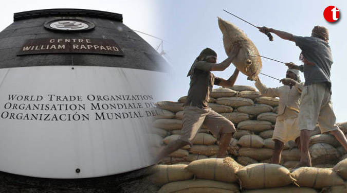 India to seek foodgrain stockpiling solutions at WTO