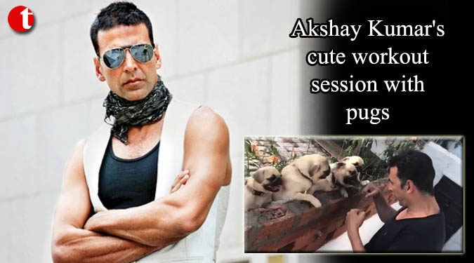 Akshay Kumar's cute workout session with pugs