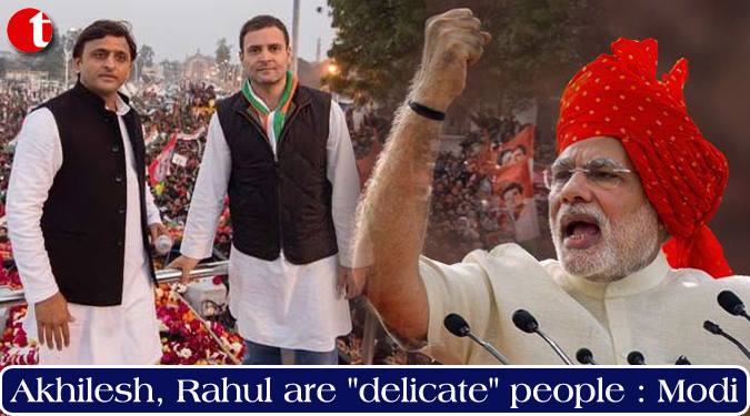 Akhilesh, Rahul are “delicate” people: Modi