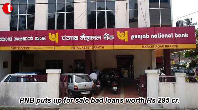 PNB puts up for sale bad loans worth Rs 295 cr.