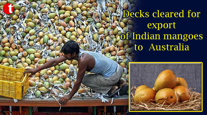 Decks cleared for export of Indian mangoes to Australia