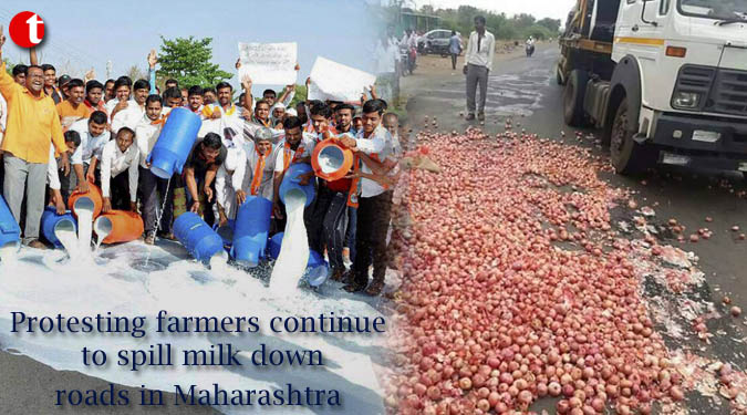 Protesting farmers continue to spill milk down roads in Maharashtra