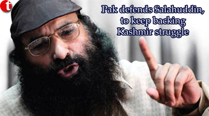 Pak defends Salahuddin, to keep backing Kashmir struggle
