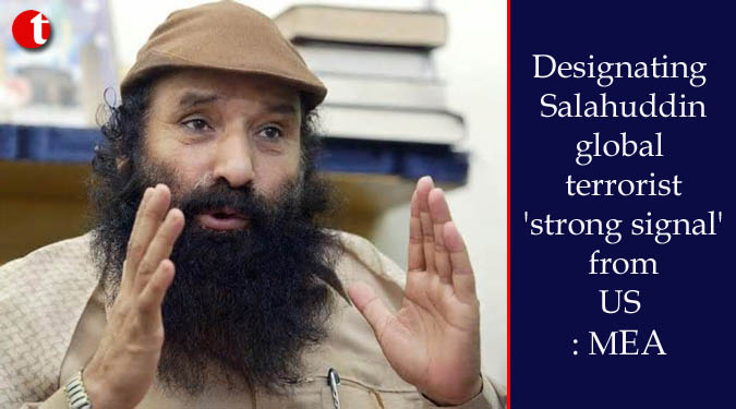 Designating Salahuddin global terrorist ‘strong signal’ from US: MEA