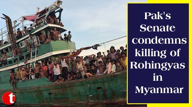 Pak’s Senate condemns killing of Rohingyas in Myanmar