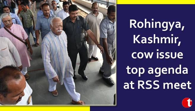 Rohingya, Kashmir, cow issue top agenda at RSS meet
