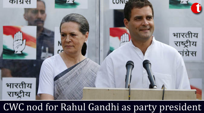 CWC nod for Rahul Gandhi as party president