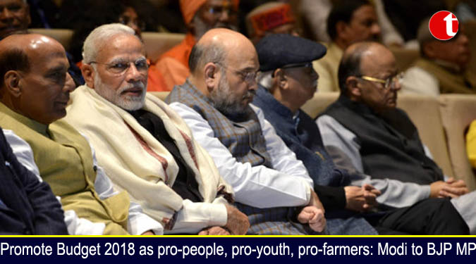 Promote Budget 2018 as pro-people, pro-youth, pro-farmers: Modi to BJP MPs