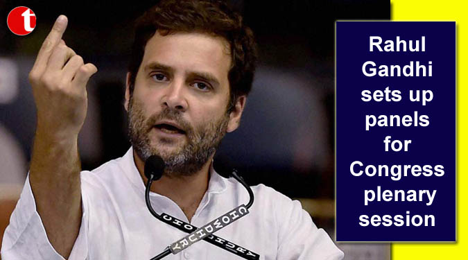 Rahul Gandhi sets up panels for Congress plenary session