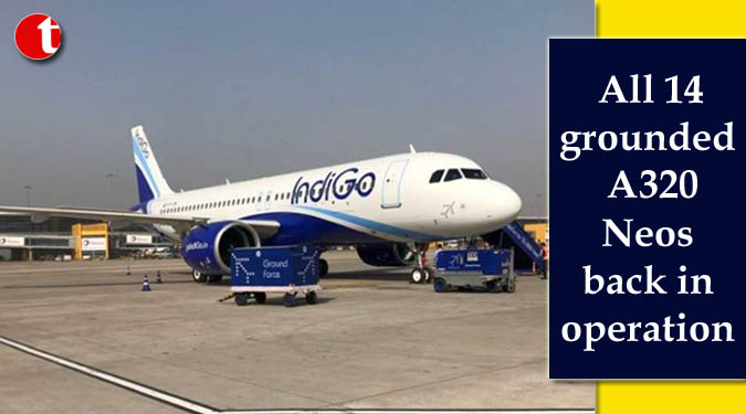 All 14 grounded A320 Neos back in operation